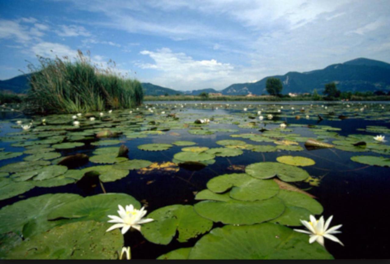 Iseo Lake Home Nature & Relax Kültér fotó